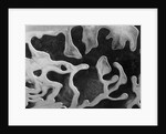 Liquid Abstraction, California, 1956 by Anonymous