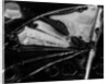 Glass Abstraction, California, 1954 by Anonymous