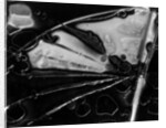 Glass Abstraction, California, 1954 by Anonymous