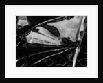 Glass Abstraction, California, 1954 by Anonymous