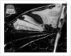 Glass Abstraction, California, 1954 by Anonymous