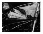 Glass Abstraction, California, 1954 by Anonymous