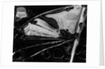 Glass Abstraction, California, 1954 by Anonymous