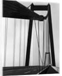 Suspension Bridge, California by Brett Weston