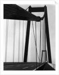 Suspension Bridge, California by Brett Weston