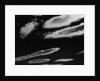 Spanish Sky, 1960 by Anonymous