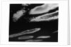 Spanish Sky, 1960 by Anonymous