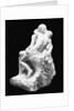The Kiss by Auguste Rodin