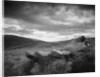 New Zealand Uplands by Anonymous
