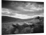 New Zealand Uplands by Anonymous