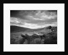 New Zealand Uplands by Anonymous