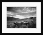 New Zealand Uplands by Anonymous