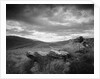 New Zealand Uplands by Anonymous