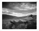 New Zealand Uplands by Anonymous