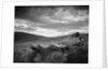 New Zealand Uplands by Anonymous
