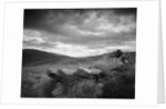 New Zealand Uplands by Anonymous