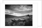 New Zealand Uplands by Anonymous