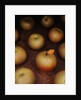 Apple With Leaf by Anonymous