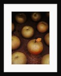 Apple With Leaf by Anonymous