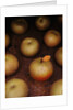 Apple With Leaf by Anonymous