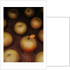 Apple With Leaf by Anonymous