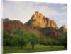 Orchard at the Base of a Rock Formation by Anonymous