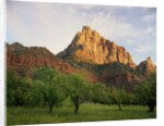 Orchard at the Base of a Rock Formation by Anonymous