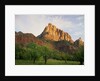 Orchard at the Base of a Rock Formation by Anonymous
