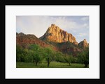 Orchard at the Base of a Rock Formation by Anonymous