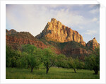 Orchard at the Base of a Rock Formation by Anonymous