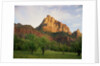 Orchard at the Base of a Rock Formation by Anonymous