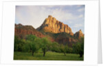 Orchard at the Base of a Rock Formation by Anonymous
