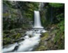 Christine Falls by Anonymous