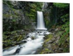 Christine Falls by Anonymous
