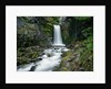 Christine Falls by Anonymous