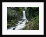 Christine Falls by Anonymous