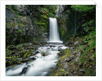 Christine Falls by Anonymous