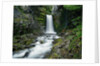 Christine Falls by Anonymous