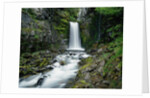 Christine Falls by Anonymous