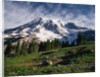 Mt.Rainier by Anonymous