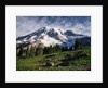 Mt.Rainier by Anonymous