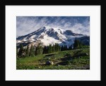 Mt.Rainier by Anonymous