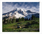 Mt.Rainier by Anonymous