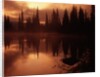 Trees Reflecting in a Lake by Anonymous