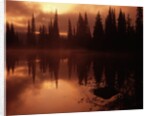 Trees Reflecting in a Lake by Anonymous