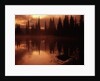 Trees Reflecting in a Lake by Anonymous