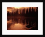 Trees Reflecting in a Lake by Anonymous