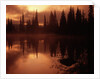 Trees Reflecting in a Lake by Anonymous