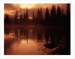 Trees Reflecting in a Lake by Anonymous