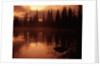 Trees Reflecting in a Lake by Anonymous